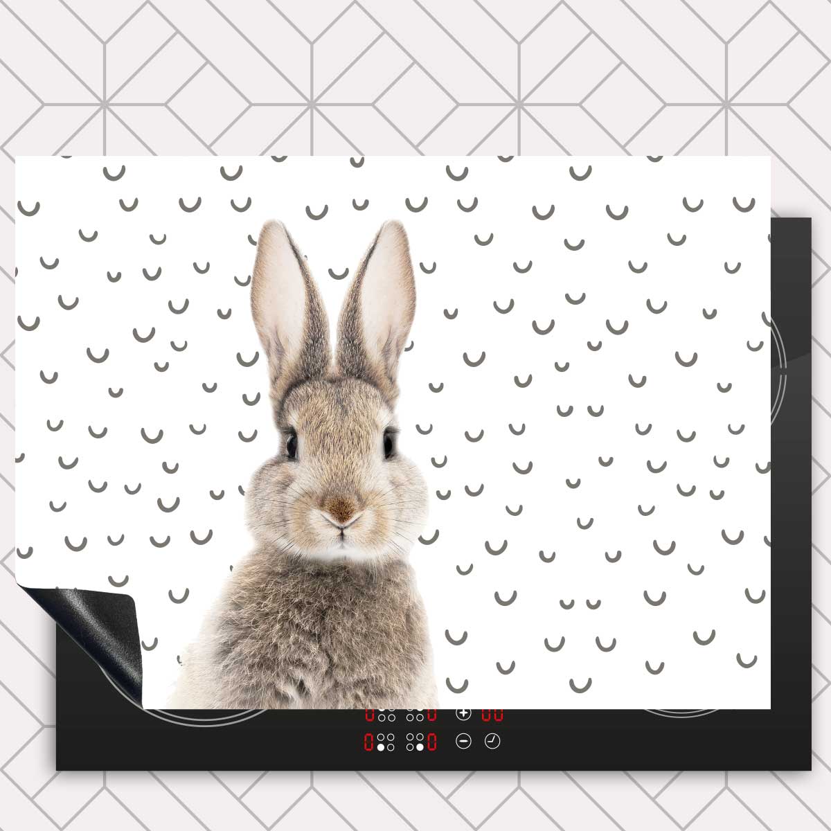 Inductie beschermer - Funny konijn fugler