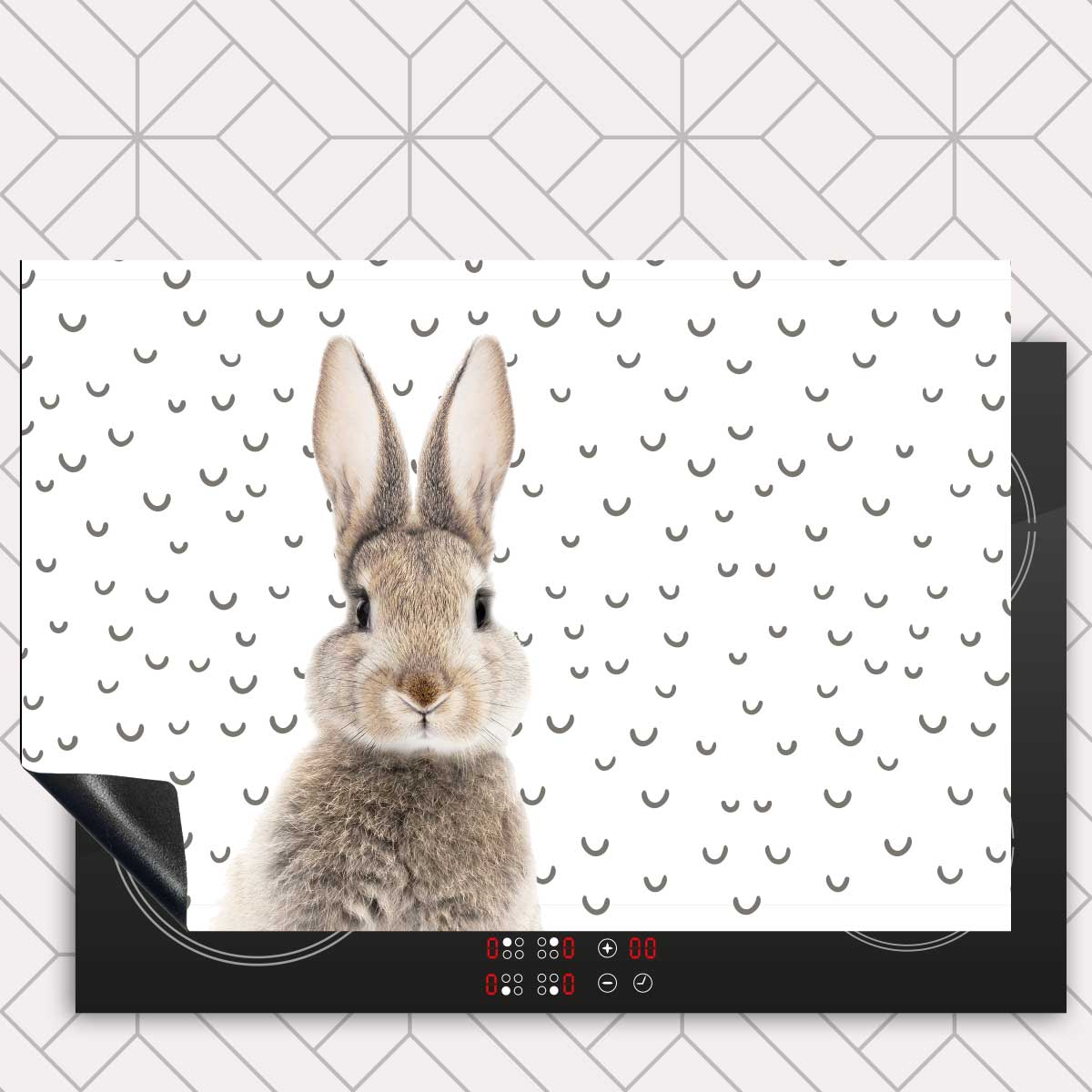 Inductie beschermer - Funny konijn fugler