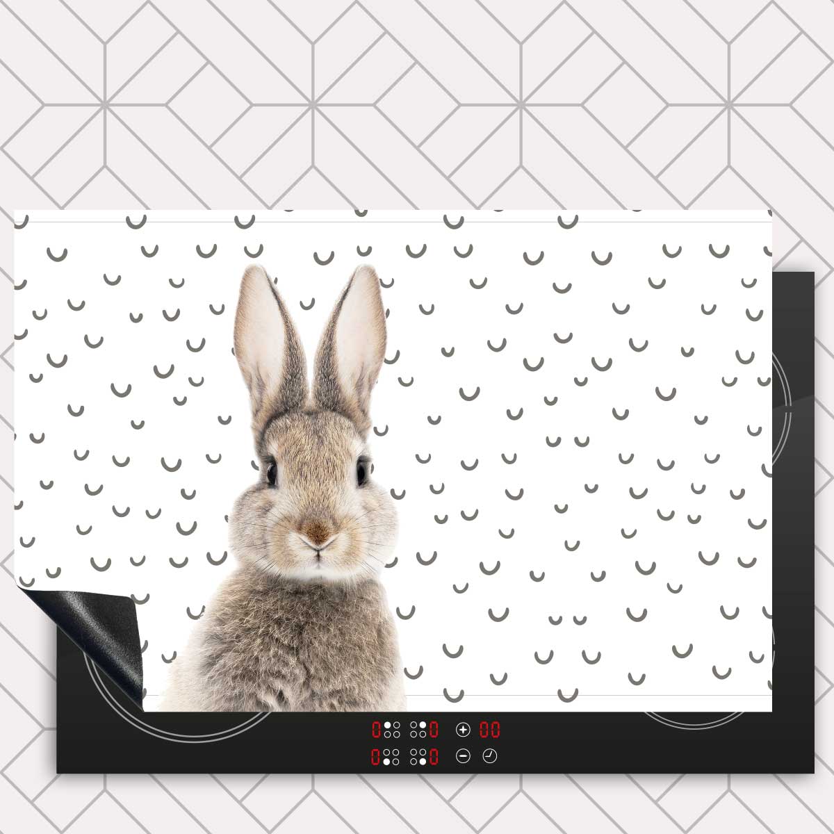 Inductie beschermer - Funny konijn fugler