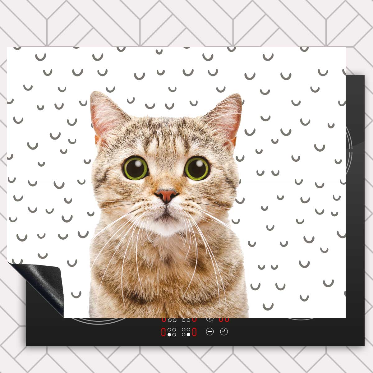 Inductie beschermer - Funny kat fugler