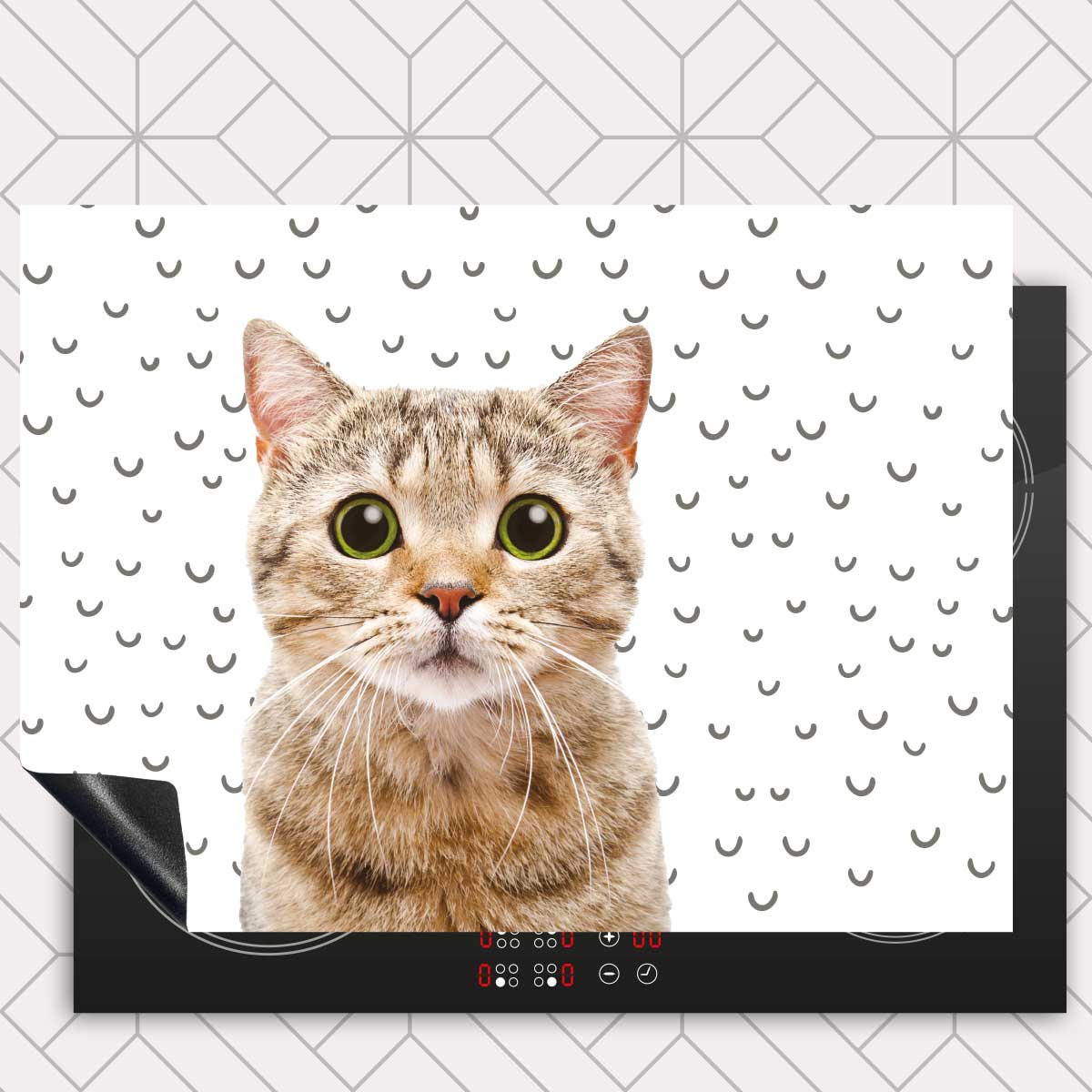 Inductie beschermer - Funny kat fugler