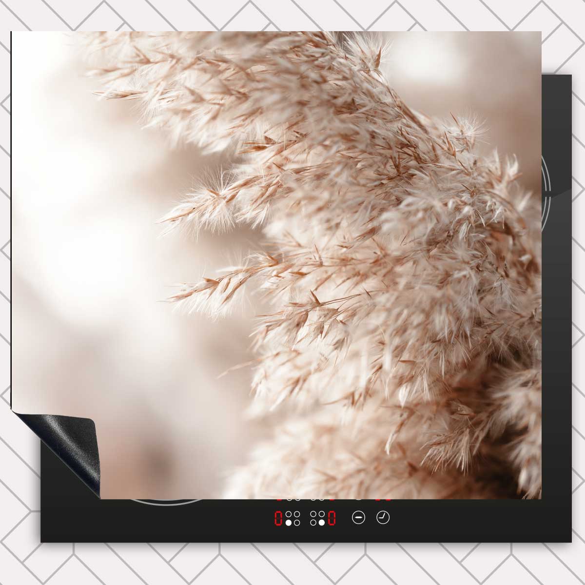 Inductie beschermer - Pampas gras