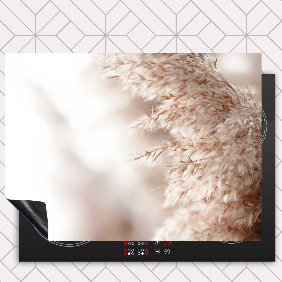 Inductie beschermer - Pampas gras