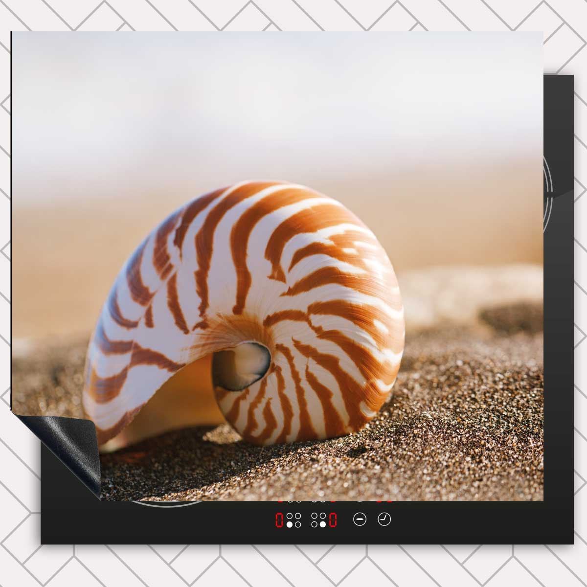 Inductie beschermer - Zeeschelp