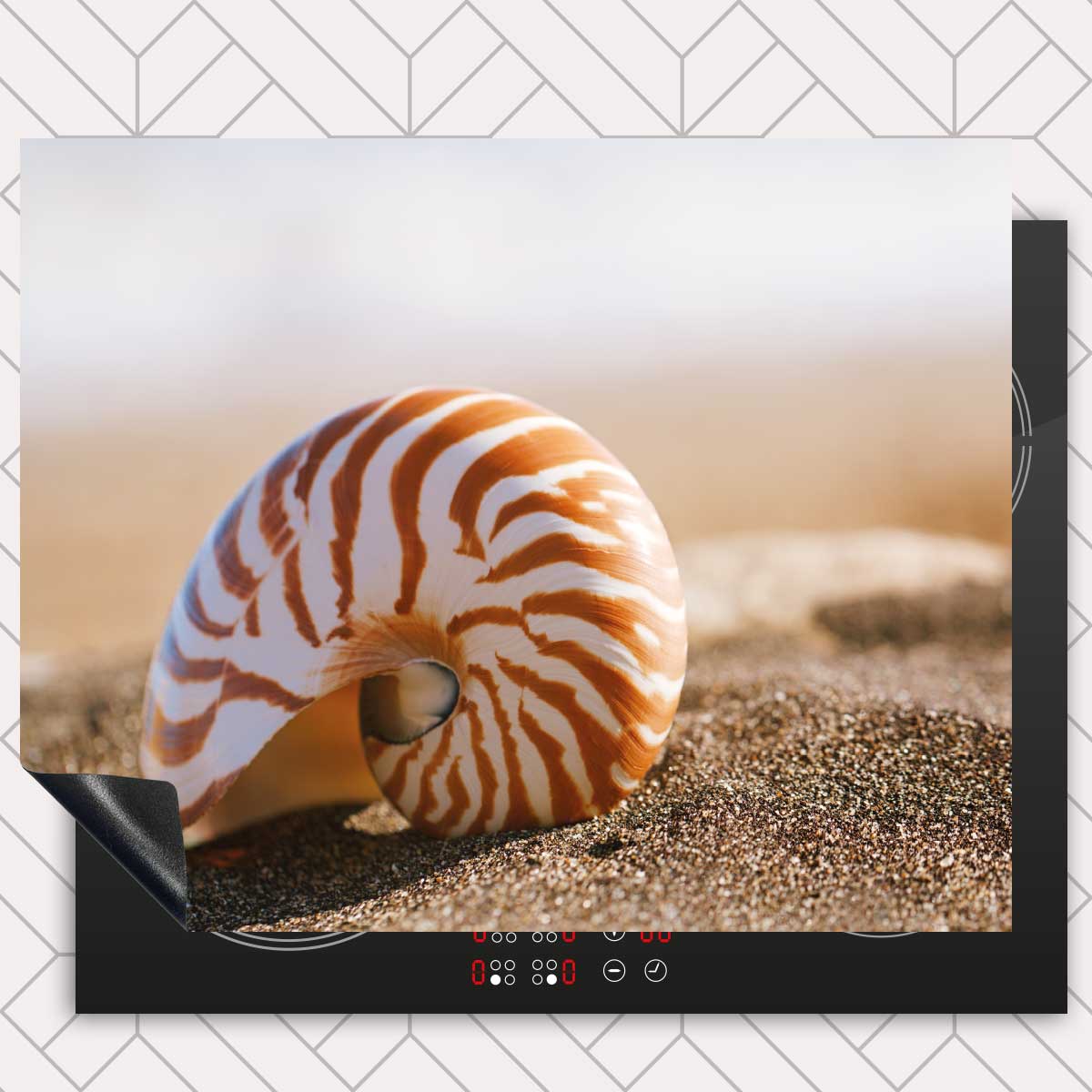 Inductie beschermer - Zeeschelp