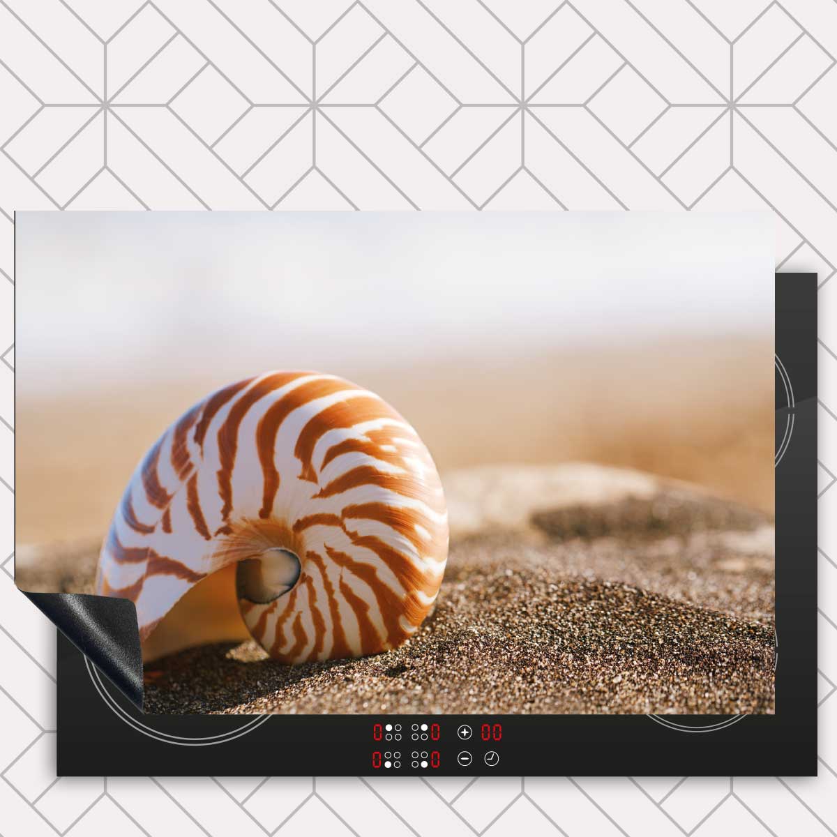 Inductie beschermer - Zeeschelp