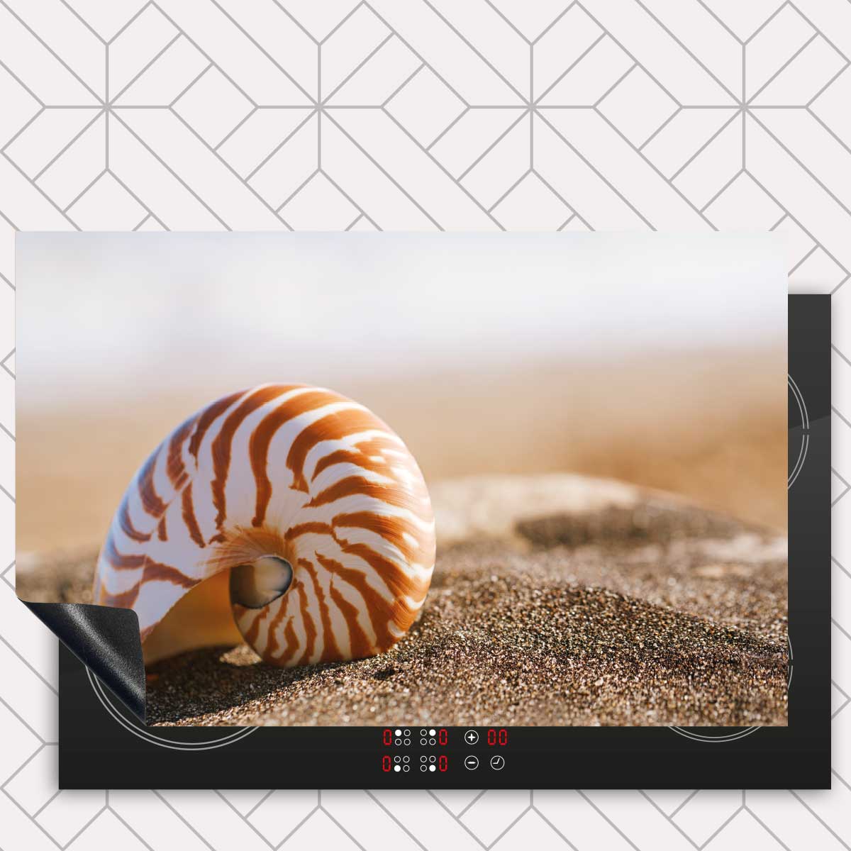 Inductie beschermer - Zeeschelp