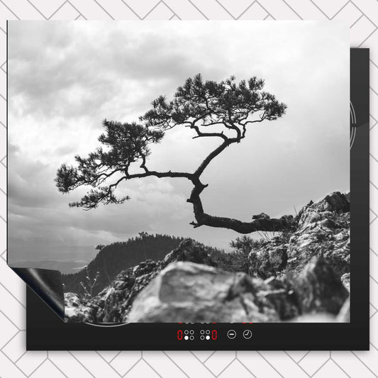 Inductie beschermer - Overhangende boom