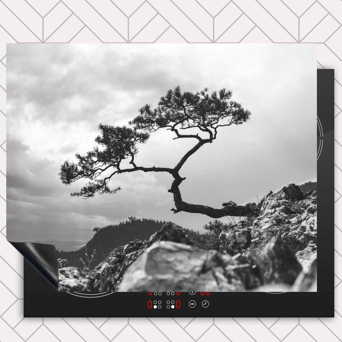 Inductie beschermer - Overhangende boom