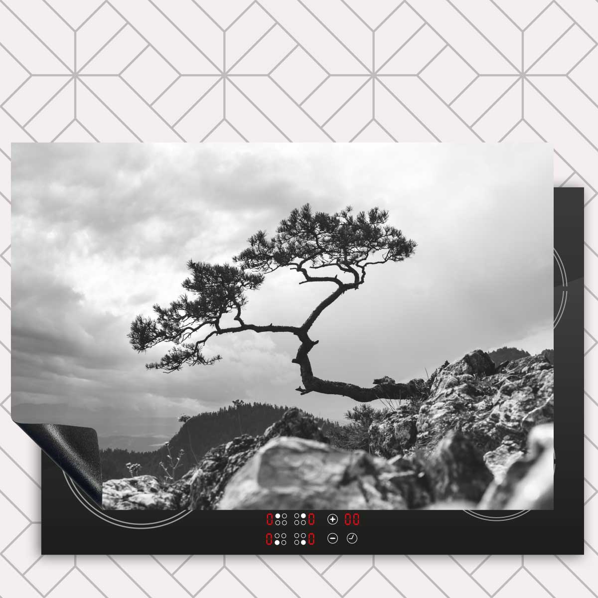 Inductie beschermer - Overhangende boom