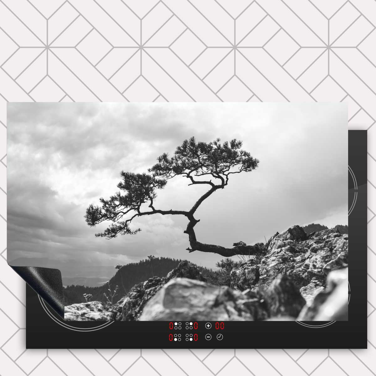 Inductie beschermer - Overhangende boom