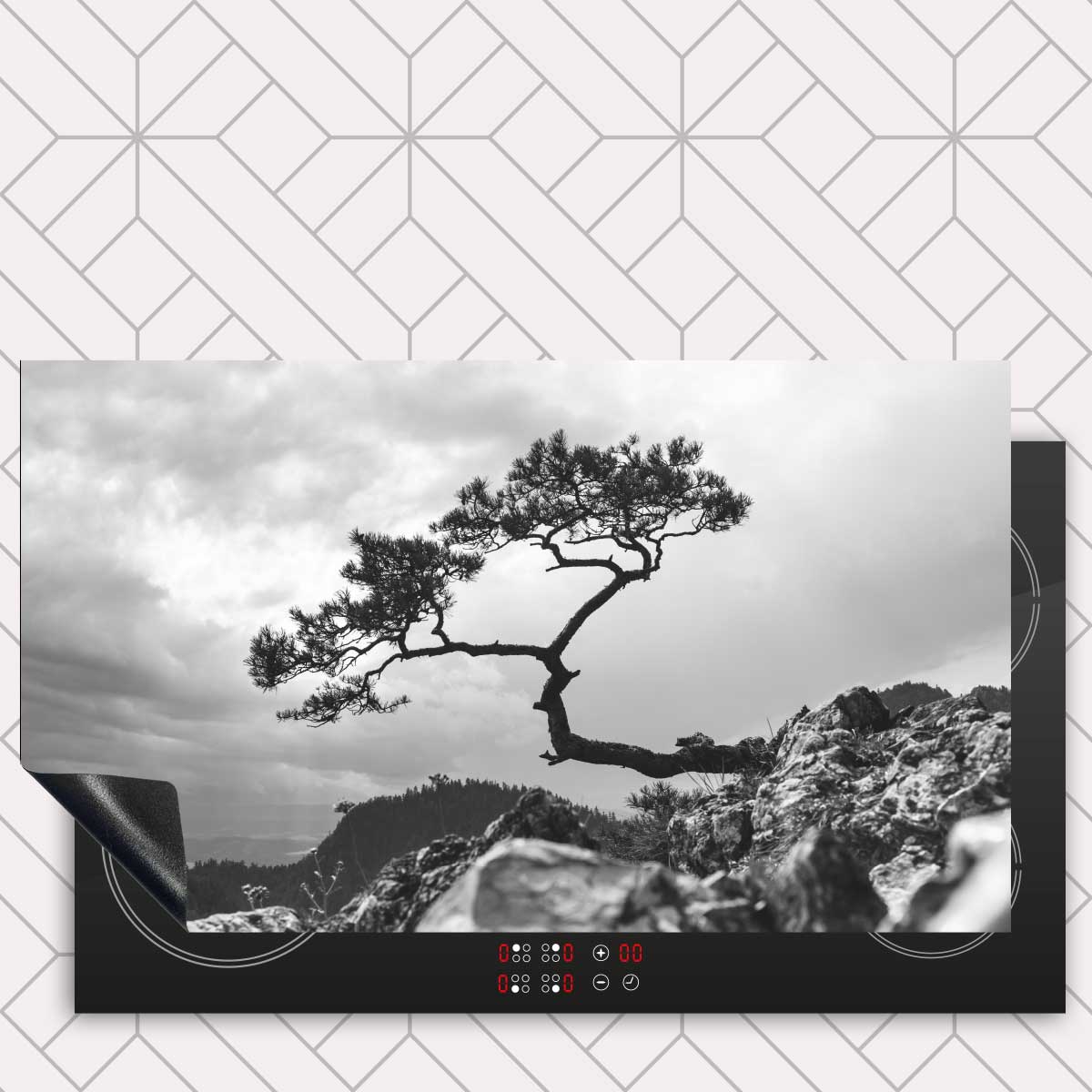 Inductie beschermer - Overhangende boom