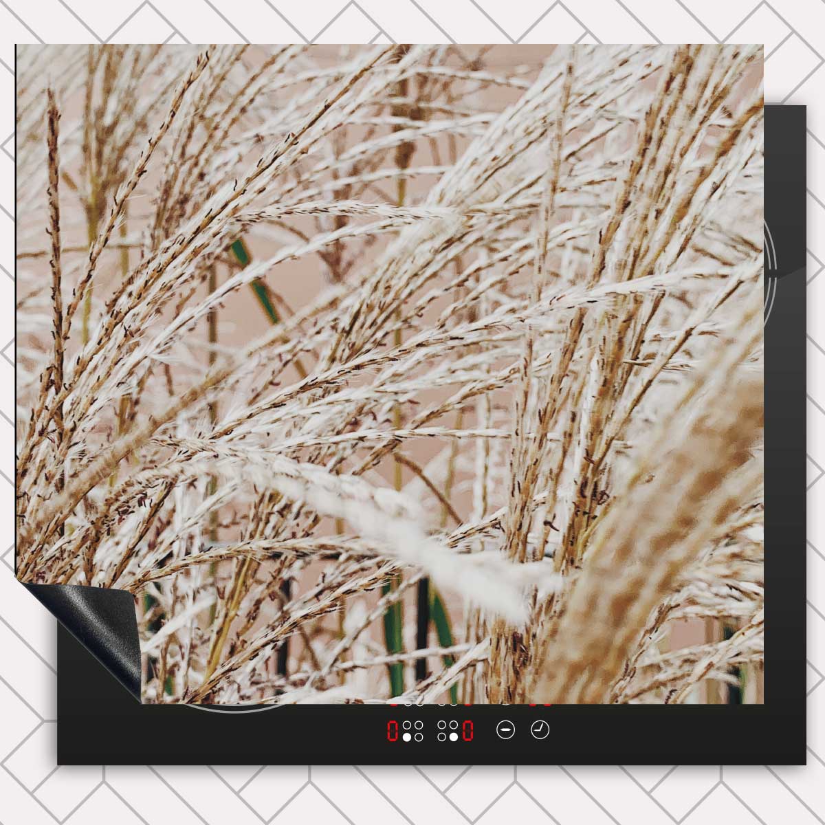 Inductie beschermer - Droge rietstengels