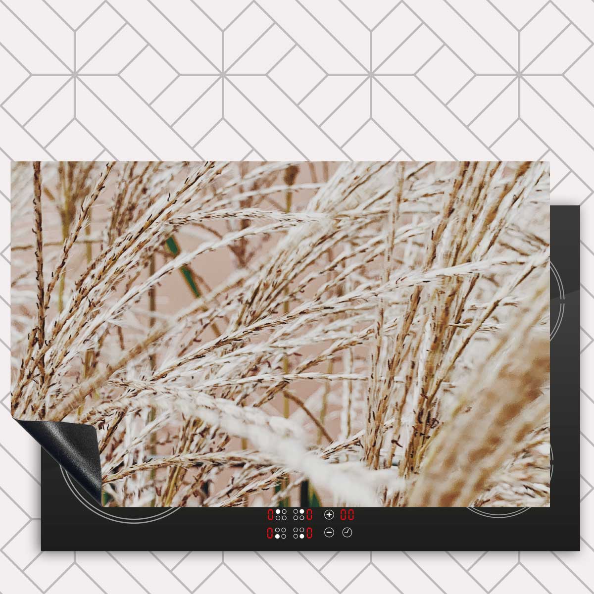 Inductie beschermer - Droge rietstengels