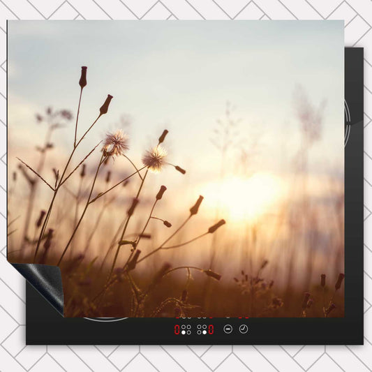 Inductie beschermer - Dandelion zonsondergang