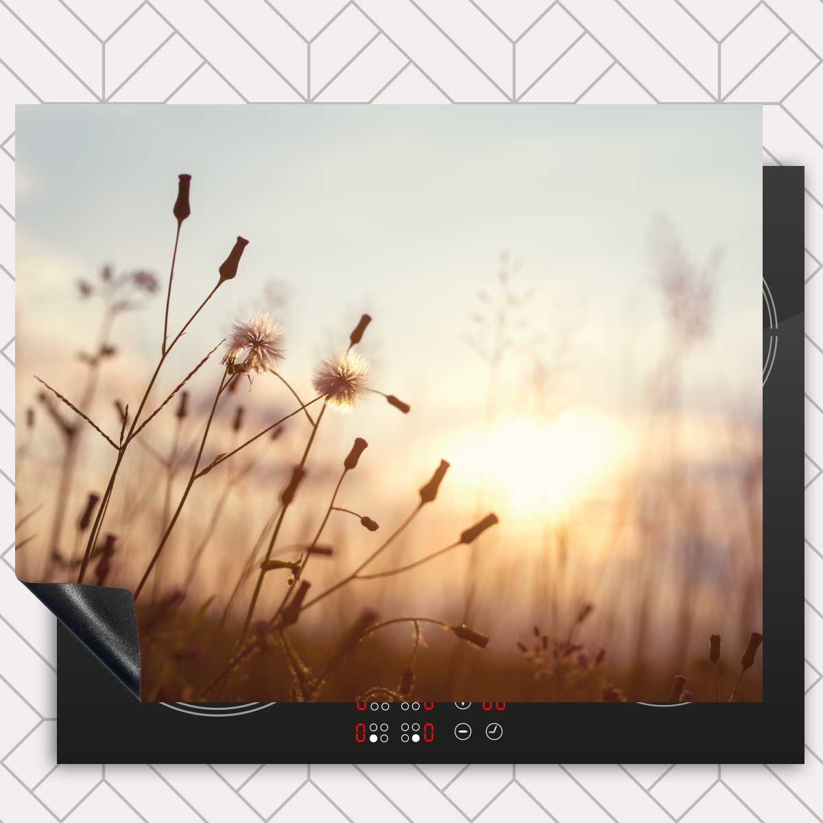 Inductie beschermer - Dandelion zonsondergang