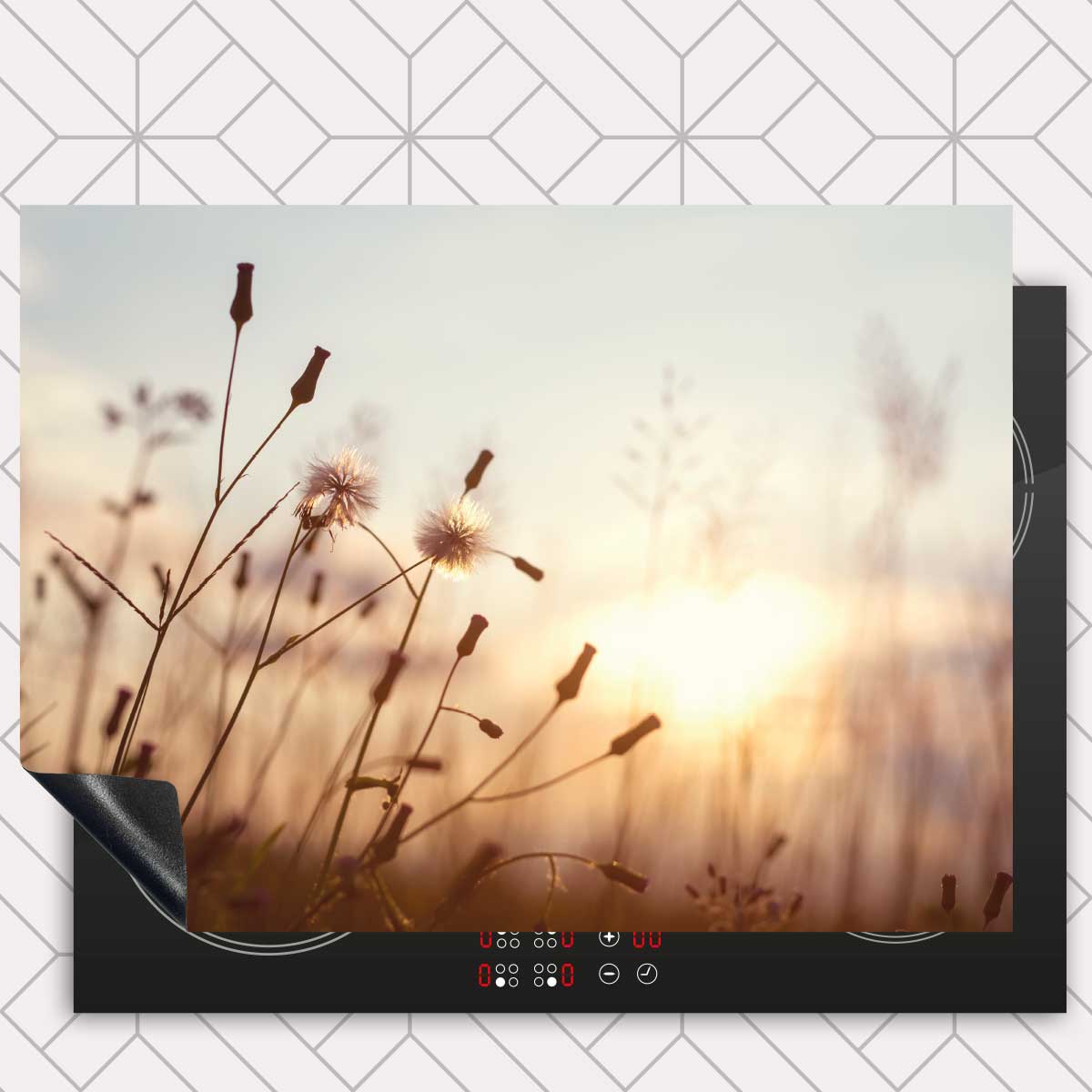 Inductie beschermer - Dandelion zonsondergang