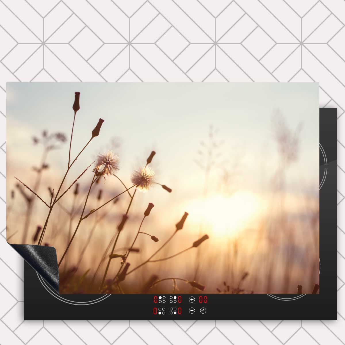 Inductie beschermer - Dandelion zonsondergang