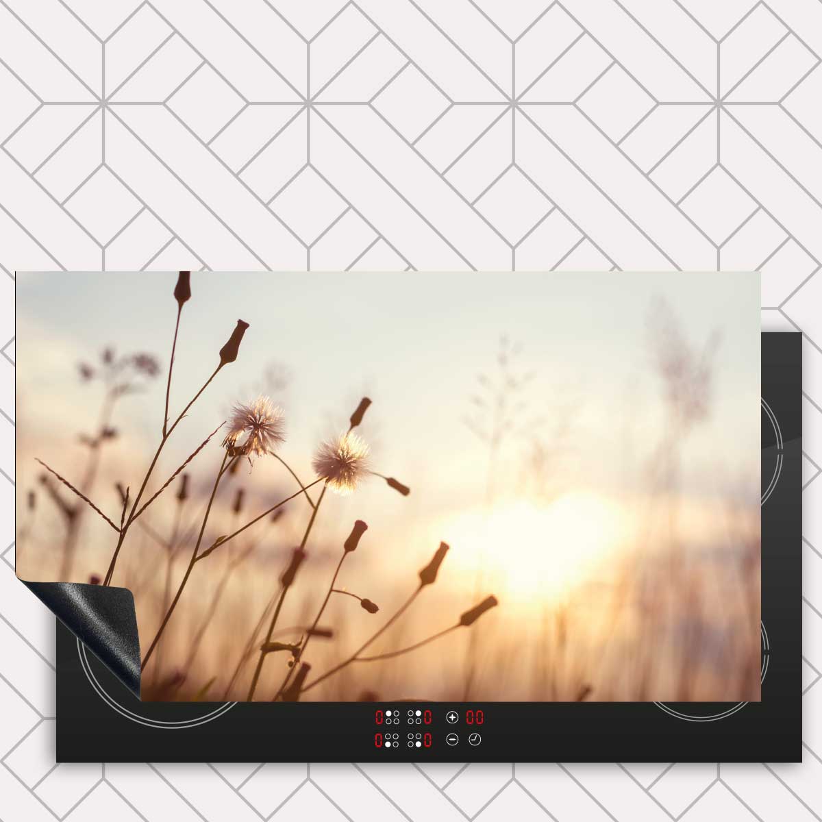 Inductie beschermer - Dandelion zonsondergang