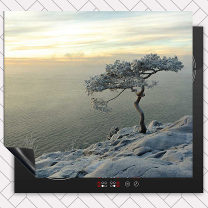 Inductie beschermer - Winterboom