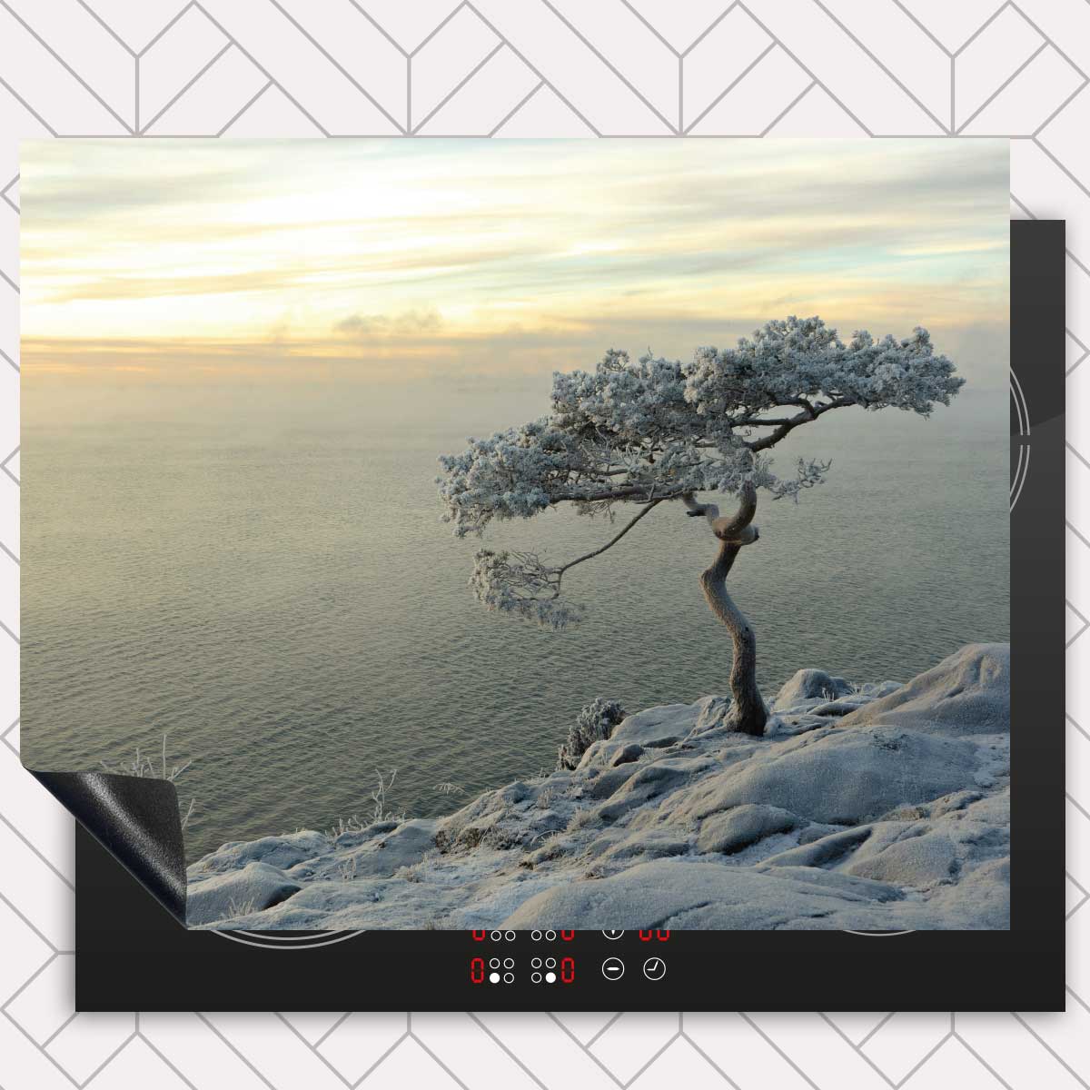 Inductie beschermer - Winterboom