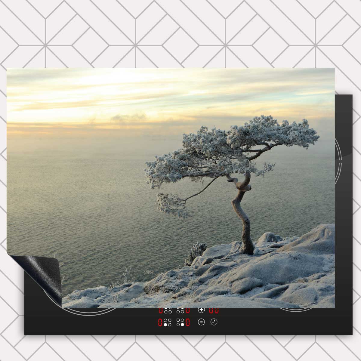 Inductie beschermer - Winterboom