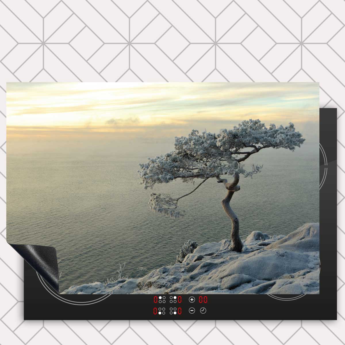 Inductie beschermer - Winterboom