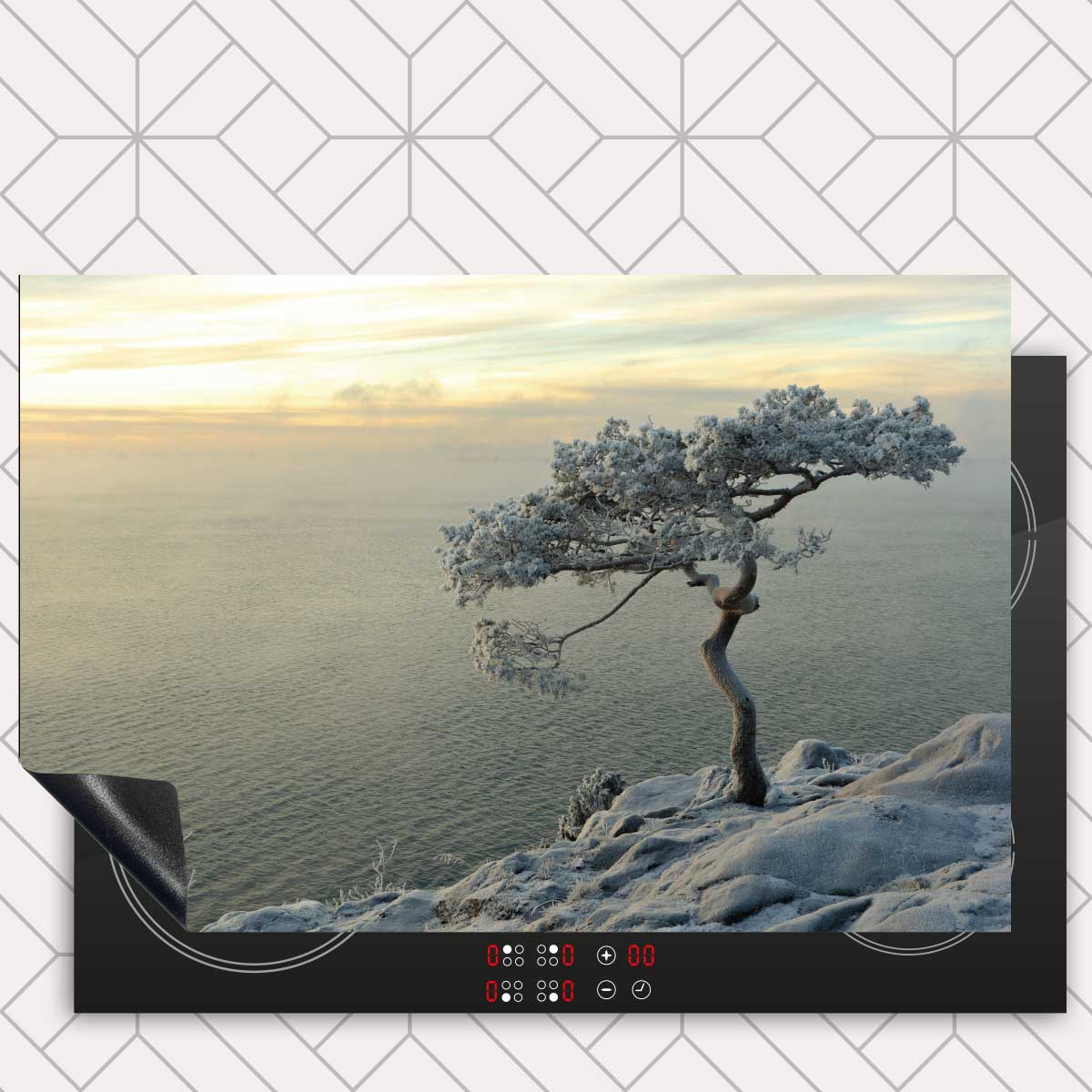 Inductie beschermer - Winterboom