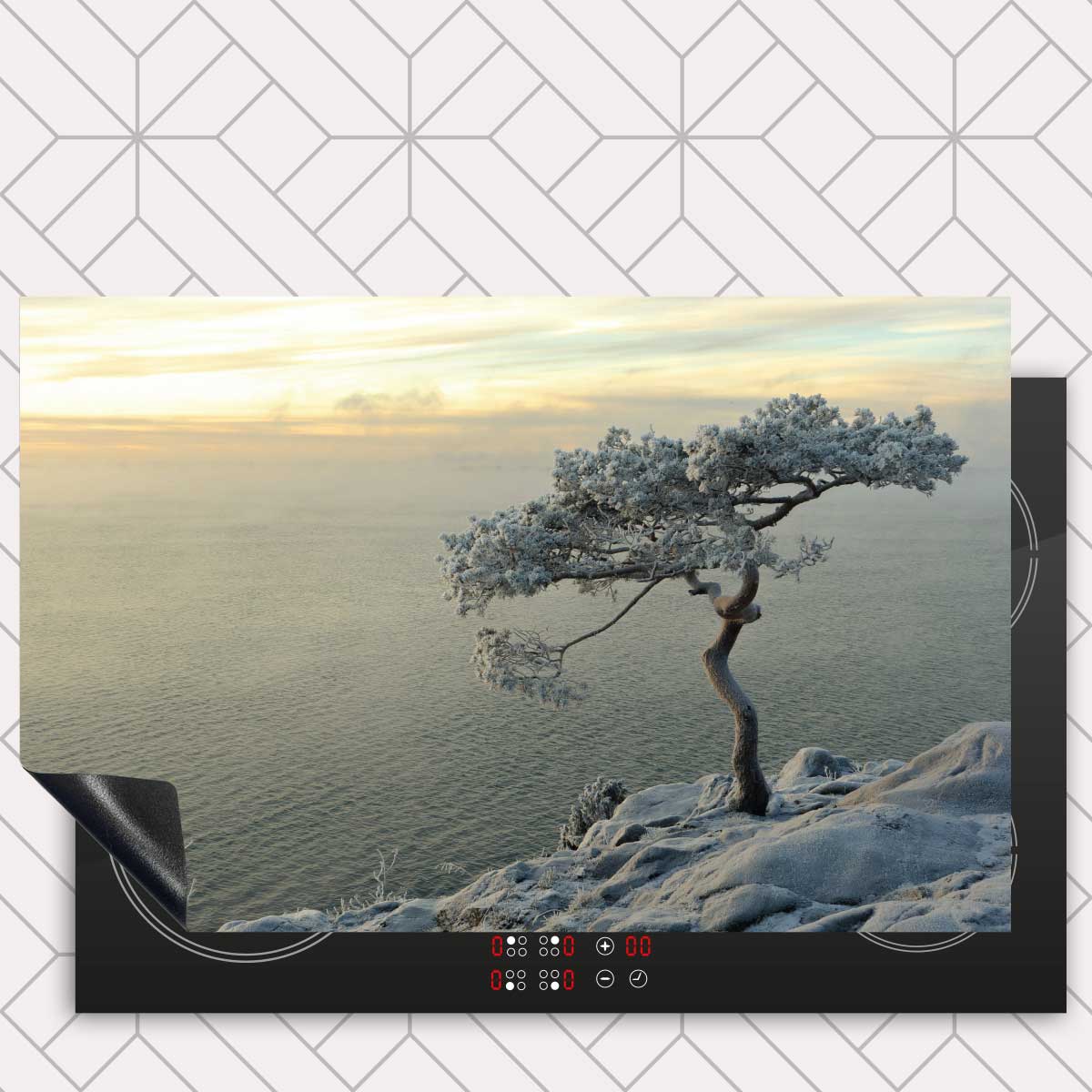 Inductie beschermer - Winterboom