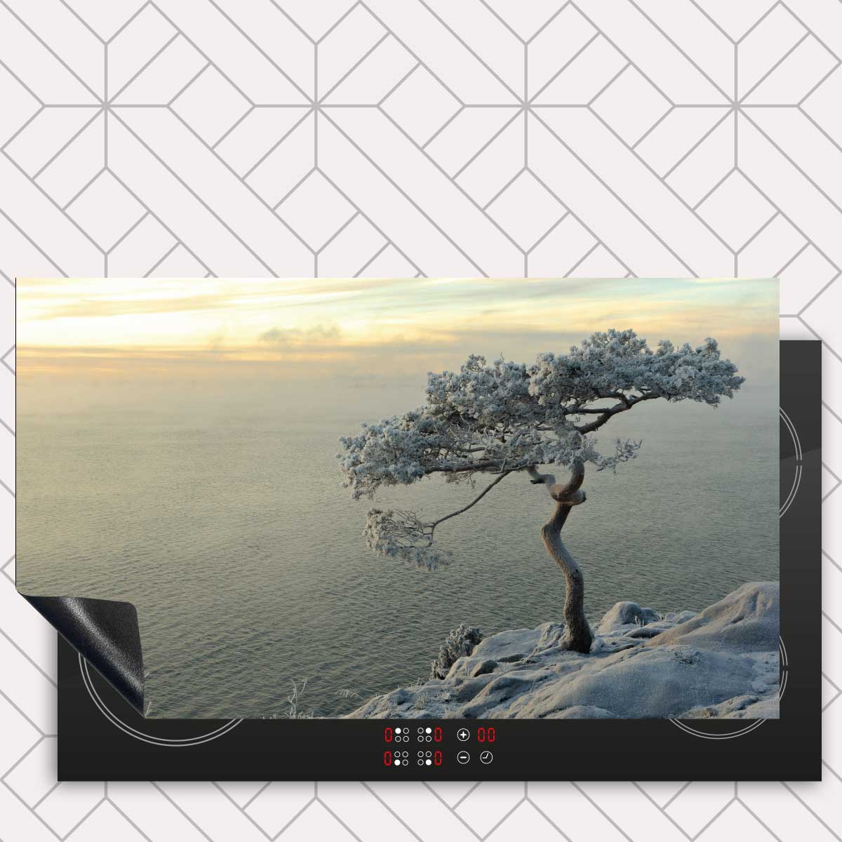 Inductie beschermer - Winterboom