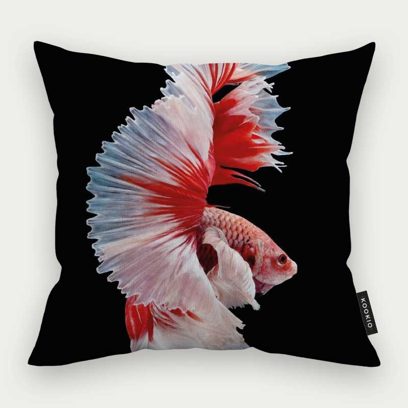 Sierkussen dieren - Betta vis