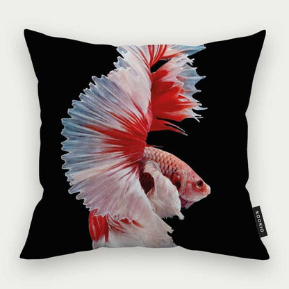 Sierkussen dieren - Betta vis