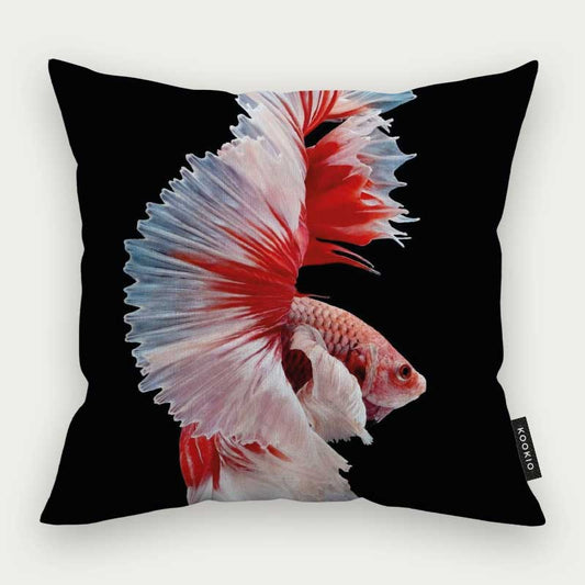 Sierkussen dieren - Betta vis