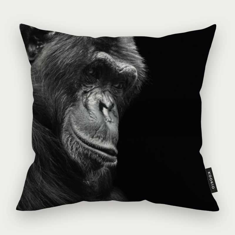 Sierkussen dieren - Chimpansee