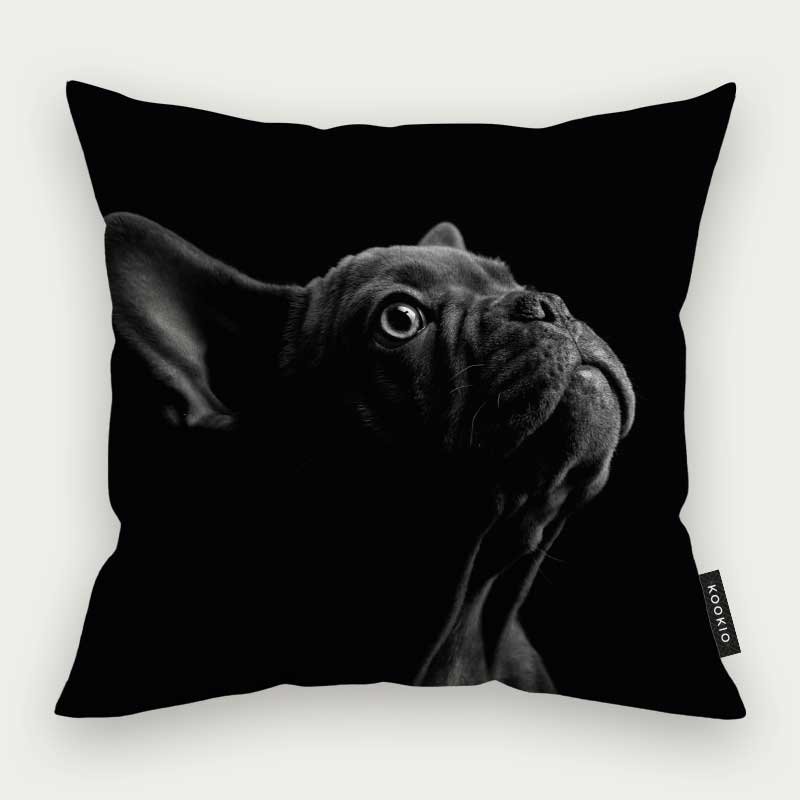 Sierkussen dieren - Franse bulldog