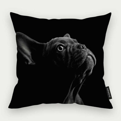 Sierkussen dieren - Franse bulldog