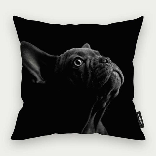 Sierkussen dieren - Franse bulldog