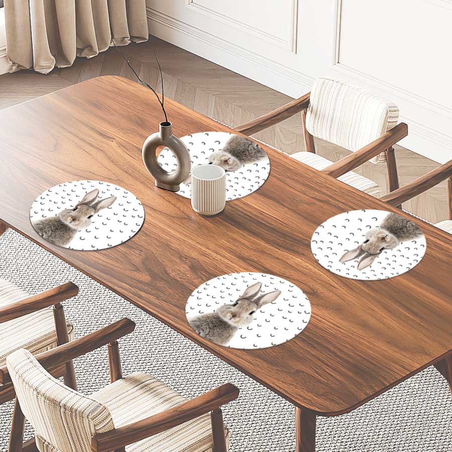 Placemat - Funny konijn fugler