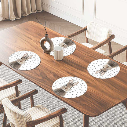 Placemat - Funny konijn fugler