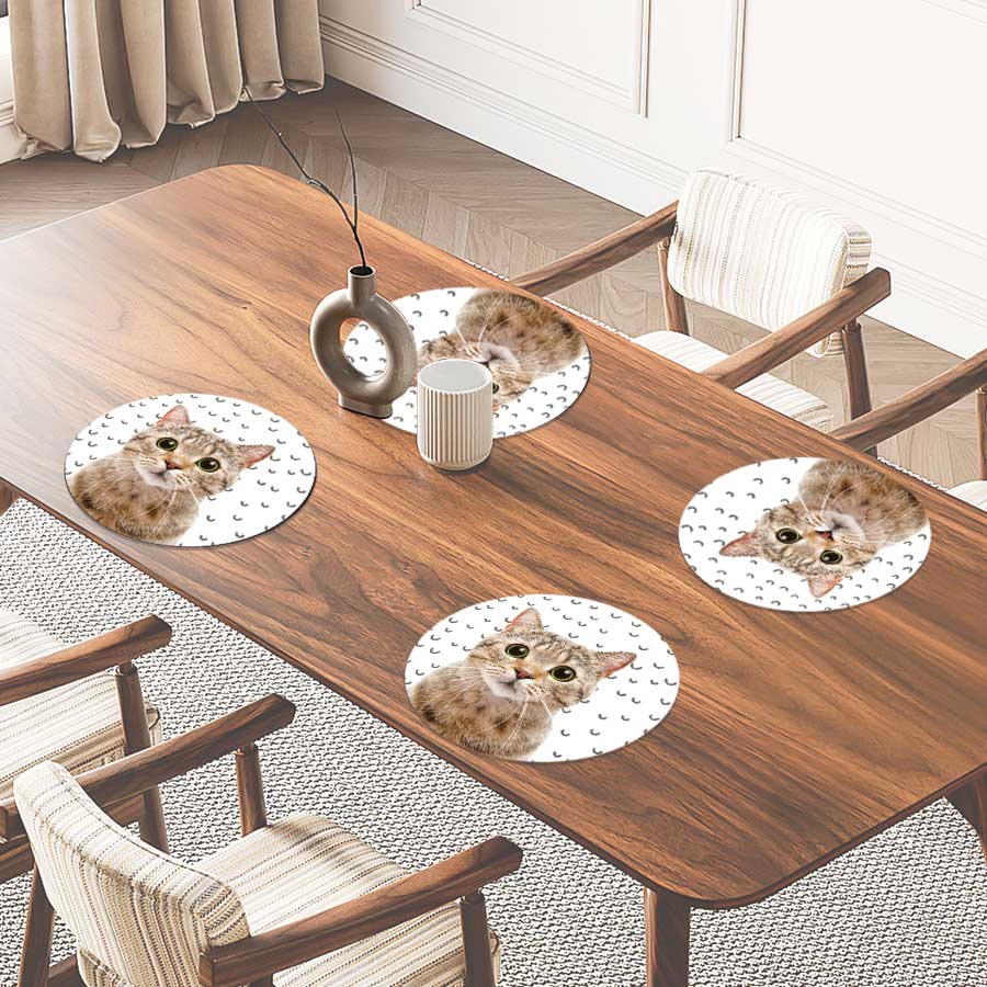 Placemat - Funny kat fugler