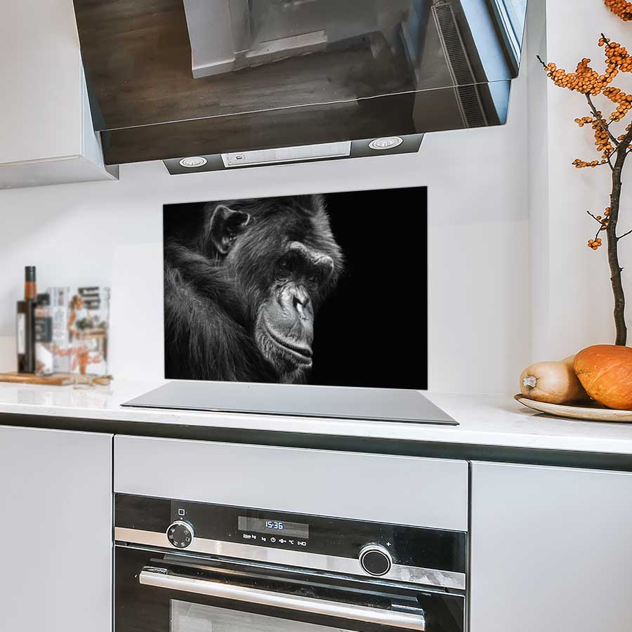 Spatscherm - Chimpansee