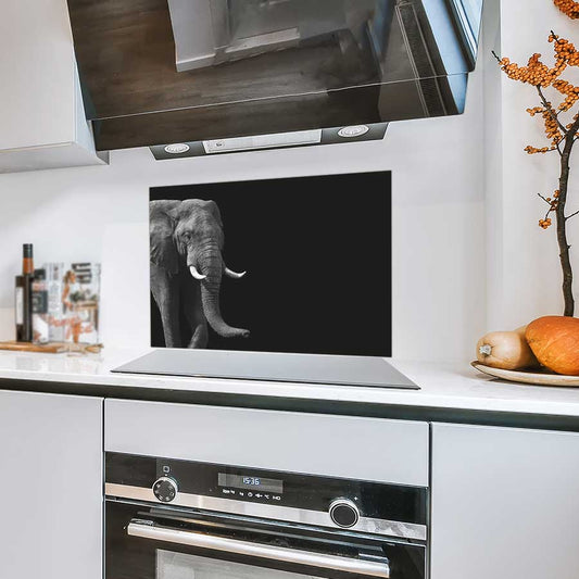 Spatscherm - Afrikaanse olifant