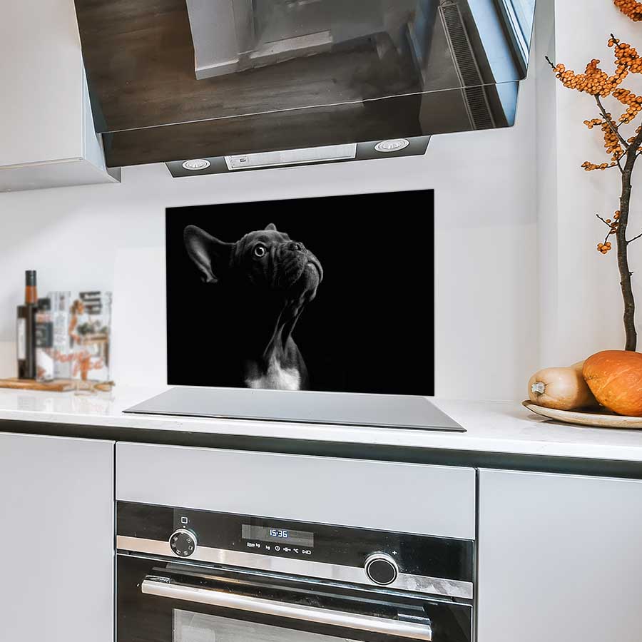 Spatscherm - Franse bulldog