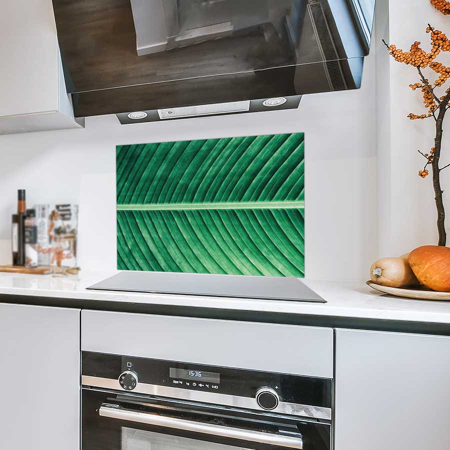 Spatscherm - Groen blad