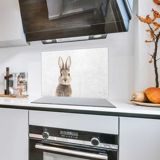 Spatscherm - Funny konijn beton