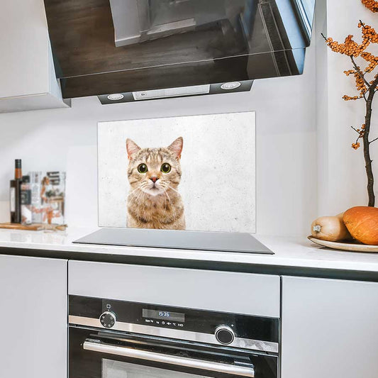 Spatscherm - Funny kat beton