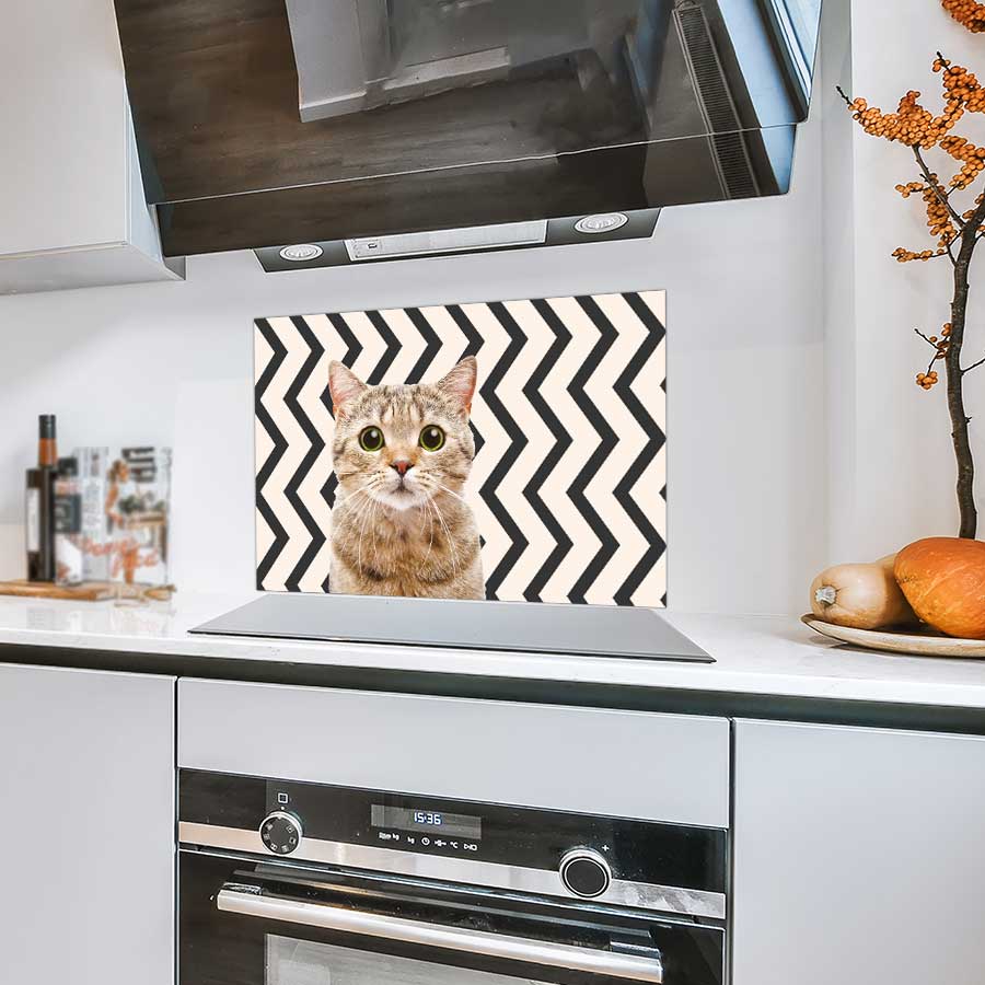 Spatscherm - Funny kat zigzag