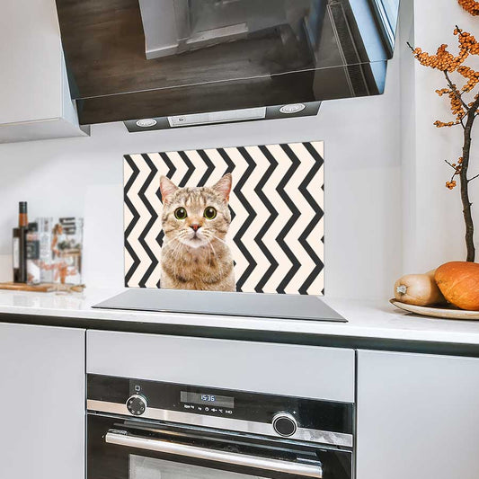 Spatscherm - Funny kat zigzag