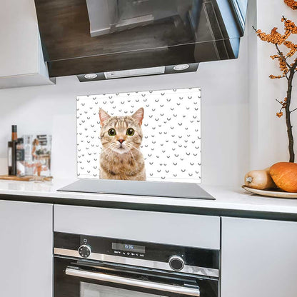 Spatscherm - Funny kat fugler