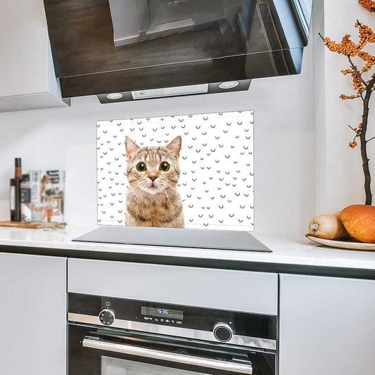 Spatscherm - Funny kat fugler